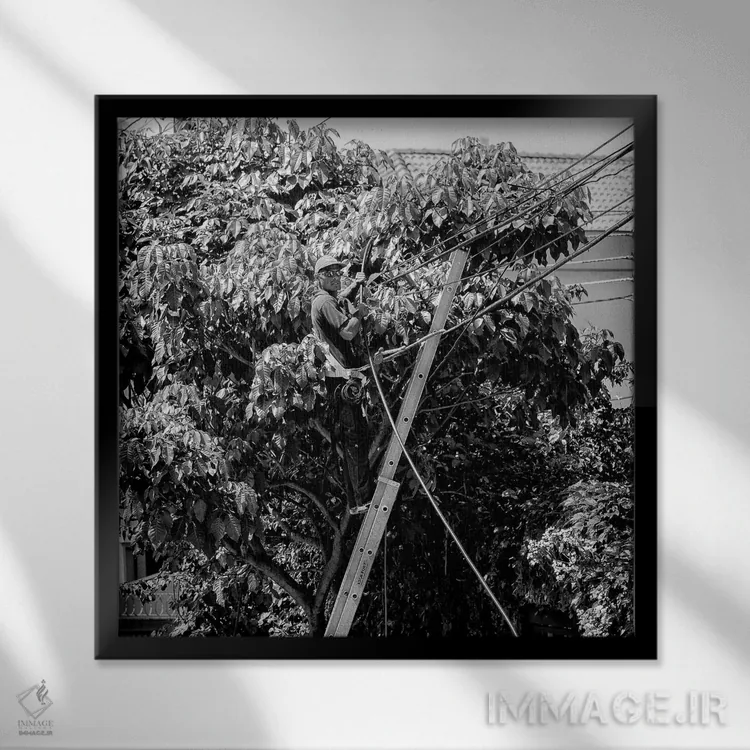 تابلو عکاسی خیابانی ۴ اثر گلاوکو منهالی - نمای قابدار مشکی