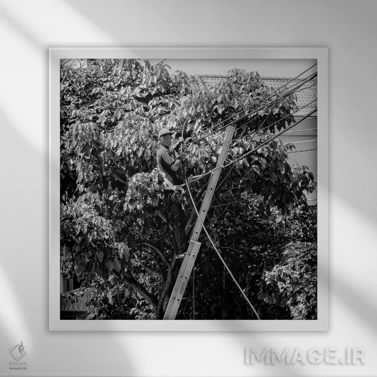 تابلو عکاسی خیابانی ۴ اثر گلاوکو منهالی - نمای قابدار سفید