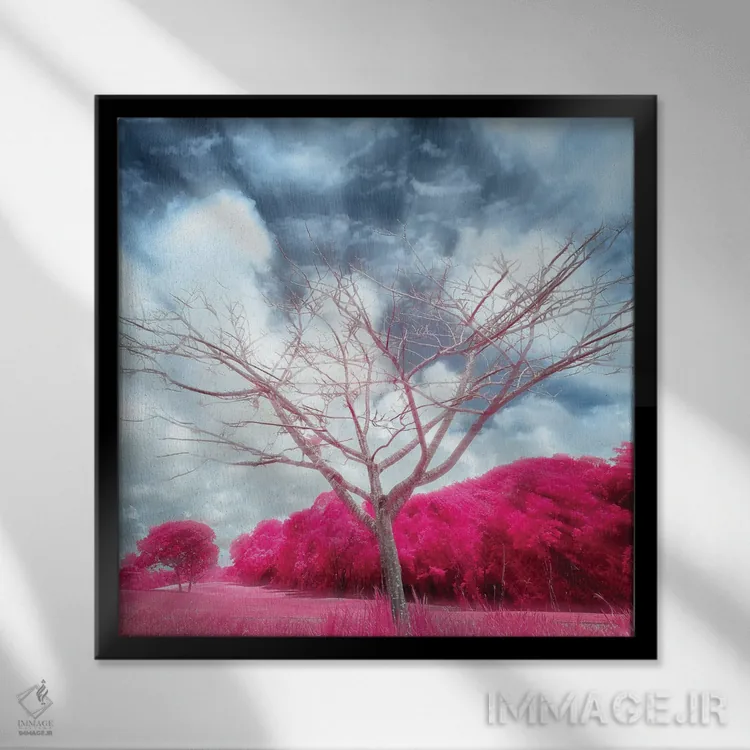 تابلو سُپر کوچک (درخت) اثر گلاوکو منهالی - نمای قابدار مشکی