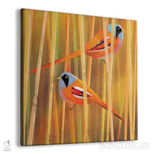 تابلو دمدراز ریشو (نوعی پرنده) اثر گارث لوکاس - نمای پرسپکتیو محصول