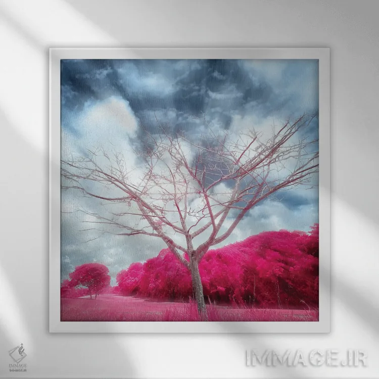 تابلو سُپر کوچک (درخت) اثر گلاوکو منهالی - نمای قابدار سفید