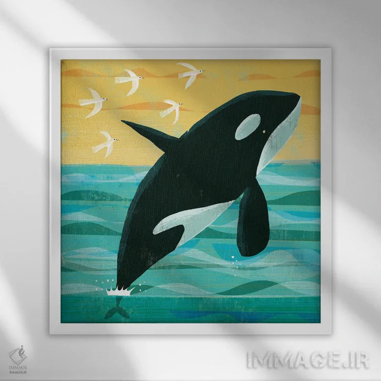 تابلو نهنگ قاتل (اورکا) اثر گارث لوکاس - نمای قابدار سفید