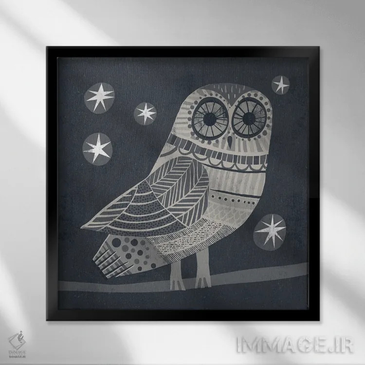 تابلو جغد اثر گارث لوکاس - نمای قابدار مشکی