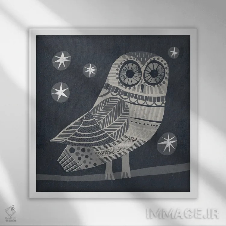 تابلو جغد اثر گارث لوکاس - نمای قابدار سفید