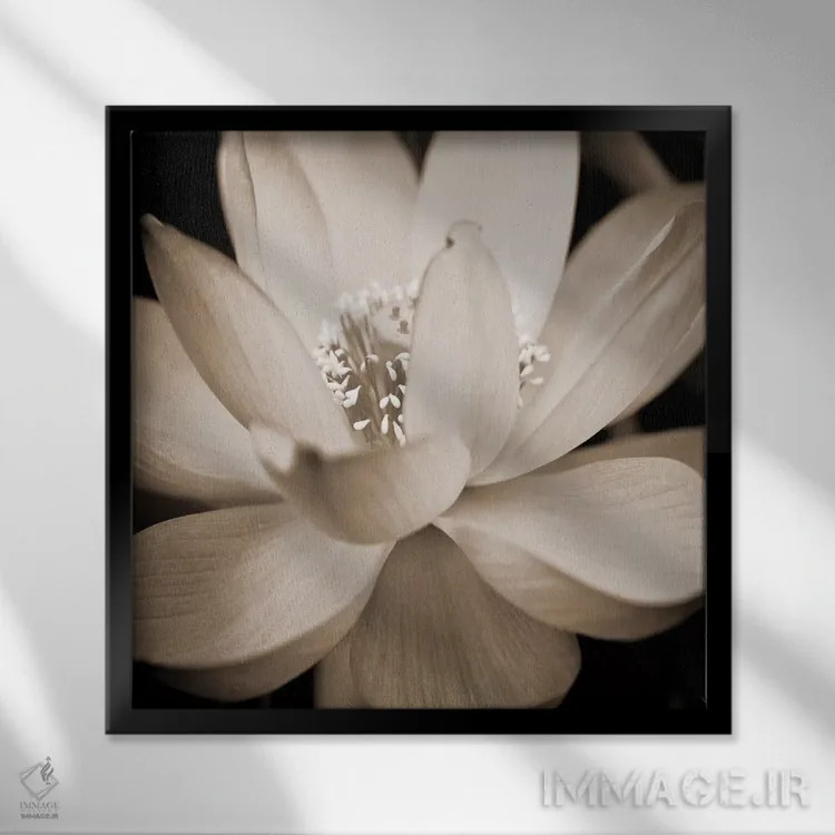 تابلو سوسن سپیا ۲ اثر گلن تیلور - نمای قابدار مشکی