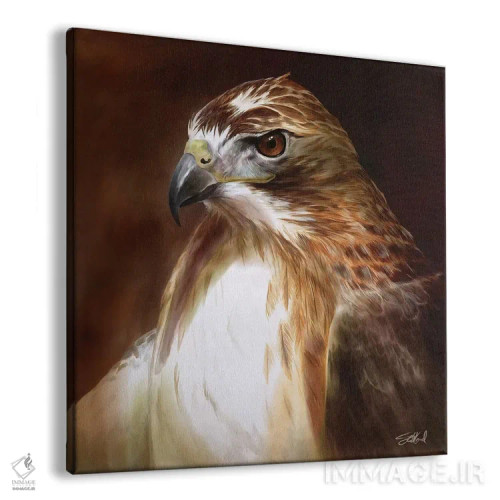 تابلو پرترهٔ شاهین دمسرخ اثر استیو گود - نمای پرسپکتیو محصول