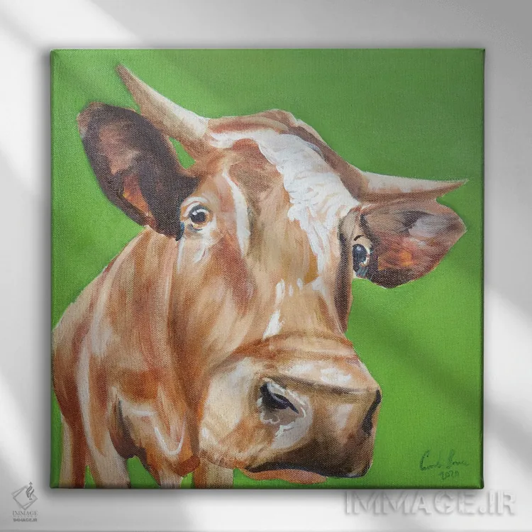 تابلو نمای نزدیک گاو اثر گوردون بروس - نمای روبهرو روی دیوار