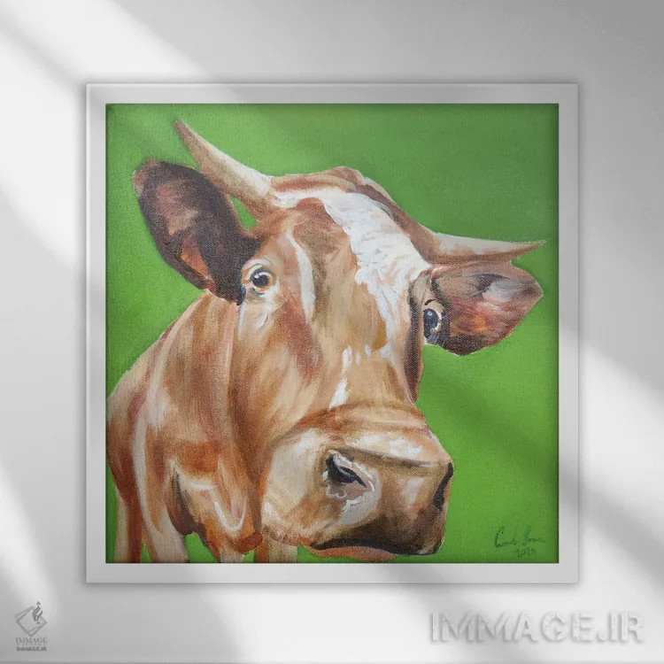 تابلو نمای نزدیک گاو اثر گوردون بروس - نمای قابدار سفید