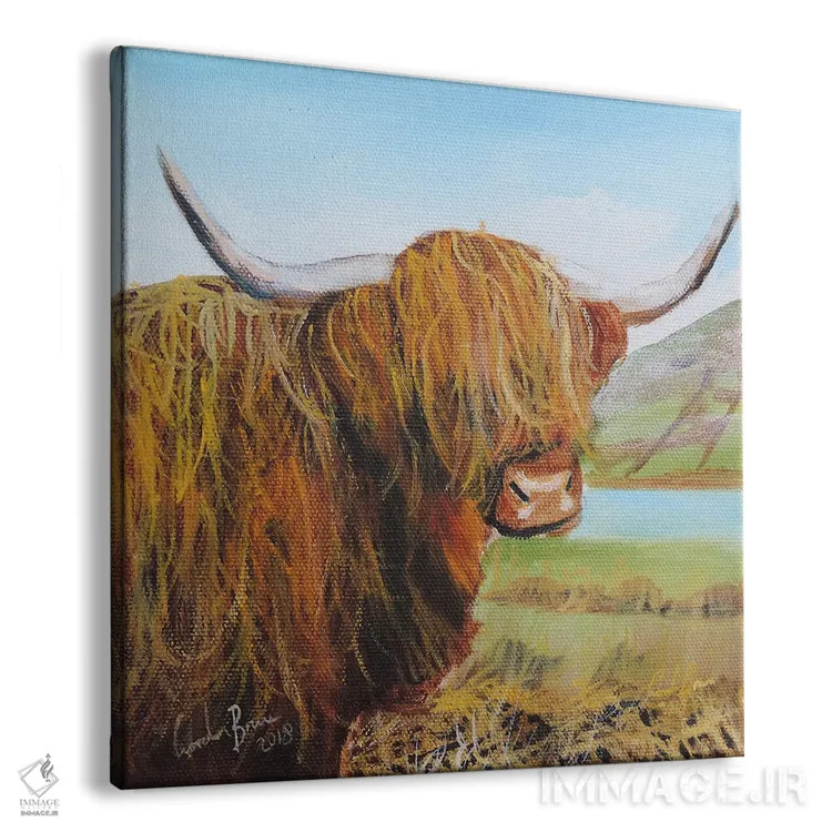تابلو گاو کوهستانی (اسکاتلندی) اثر گوردون بروس - نمای پرسپکتیو محصول