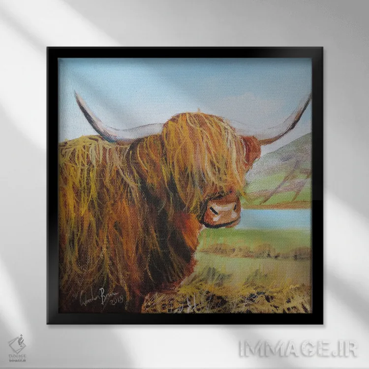 تابلو گاو کوهستانی (اسکاتلندی) اثر گوردون بروس - نمای قابدار مشکی