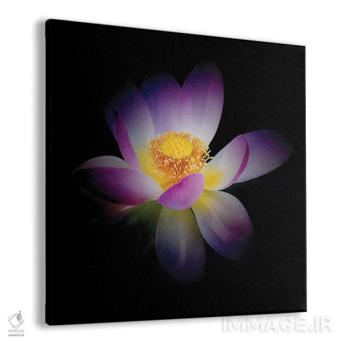 تابلو تولد دوبارهٔ نیلوفر درخشان اثر جورج اوزه - نمای پرسپکتیو محصول