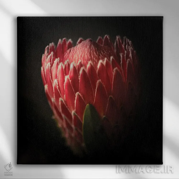تابلو نمای نزدیک از گل پروتئا اثر جورج اوزه - نمای روبهرو روی دیوار