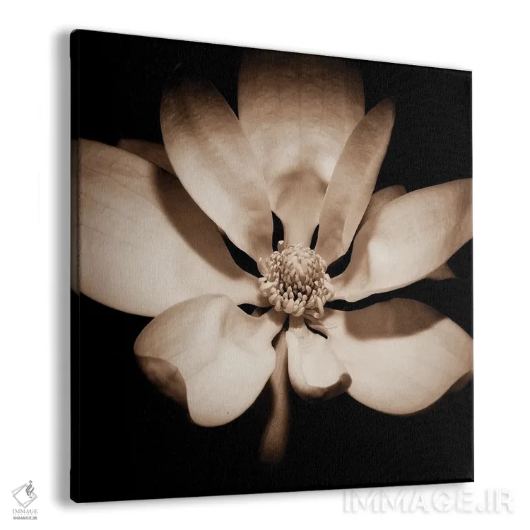 تابلو بیداری مگنولیا اثر جورج اوزه - نمای پرسپکتیو محصول