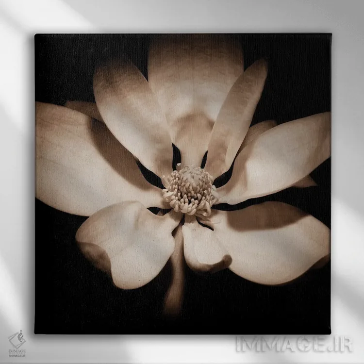 تابلو بیداری مگنولیا اثر جورج اوزه - نمای روبهرو روی دیوار