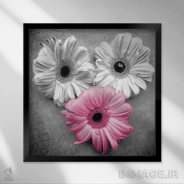 تابلو دسته گل گرمسیری ۱ اثر گیل پک - نمای قابدار مشکی