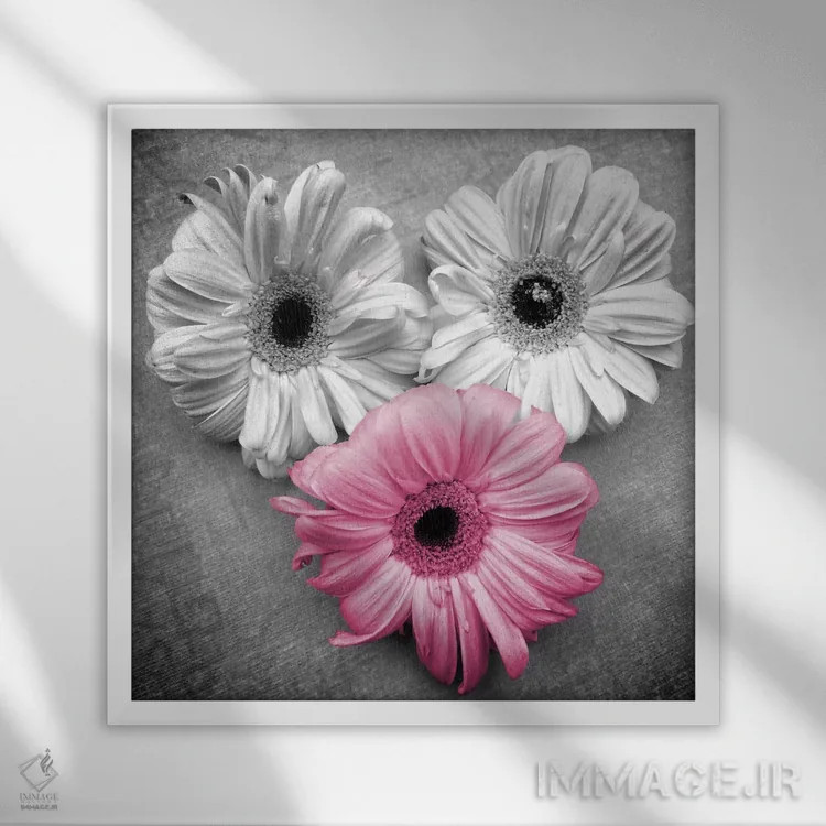 تابلو دسته گل گرمسیری ۱ اثر گیل پک - نمای قابدار سفید