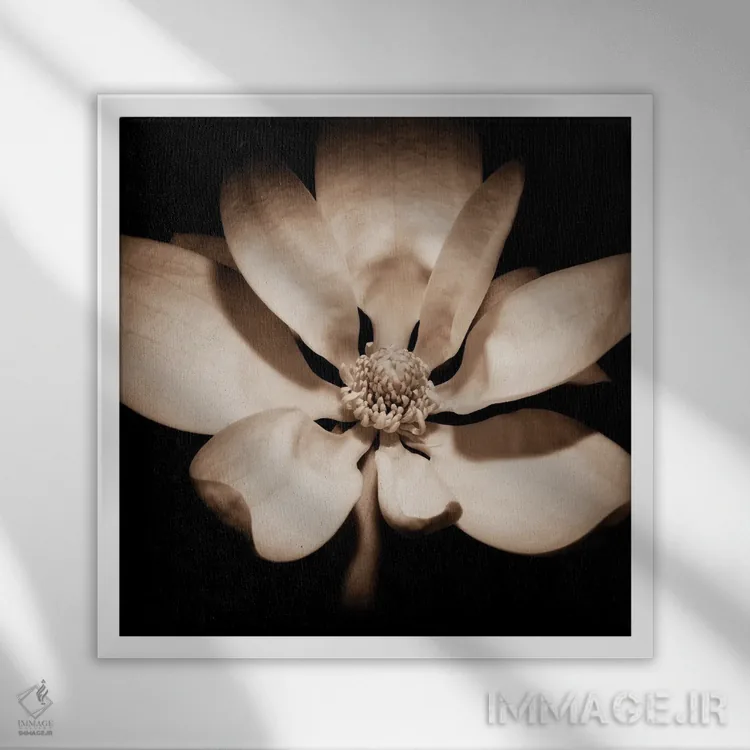 تابلو بیداری مگنولیا اثر جورج اوزه - نمای قابدار سفید