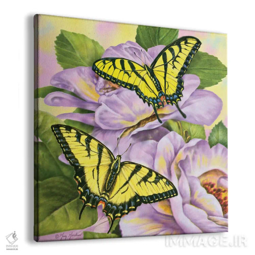 تابلو پروانههای دمچلچلهای اثر گرگ جوردانو - نمای پرسپکتیو محصول