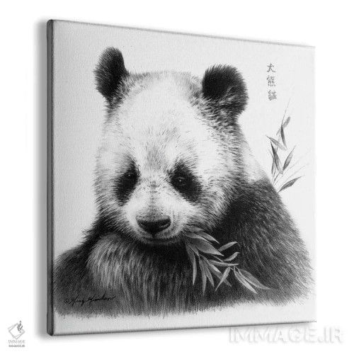 تابلو پاندا I اثر گرگ جوردانو - نمای پرسپکتیو محصول
