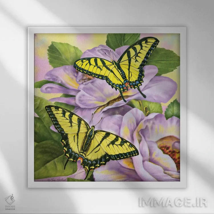 تابلو پروانههای دمچلچلهای اثر گرگ جوردانو - نمای قابدار سفید