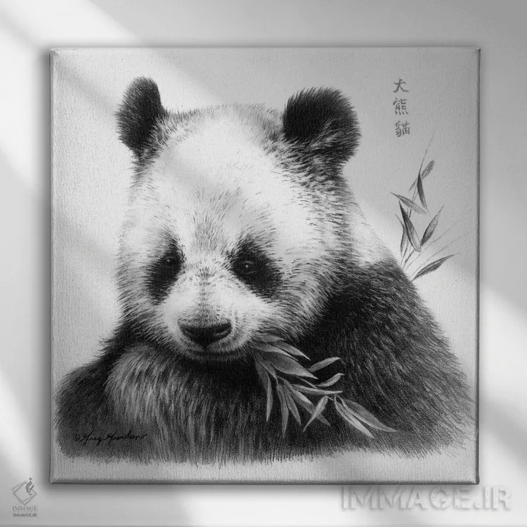 تابلو پاندا I اثر گرگ جوردانو - نمای روبهرو روی دیوار