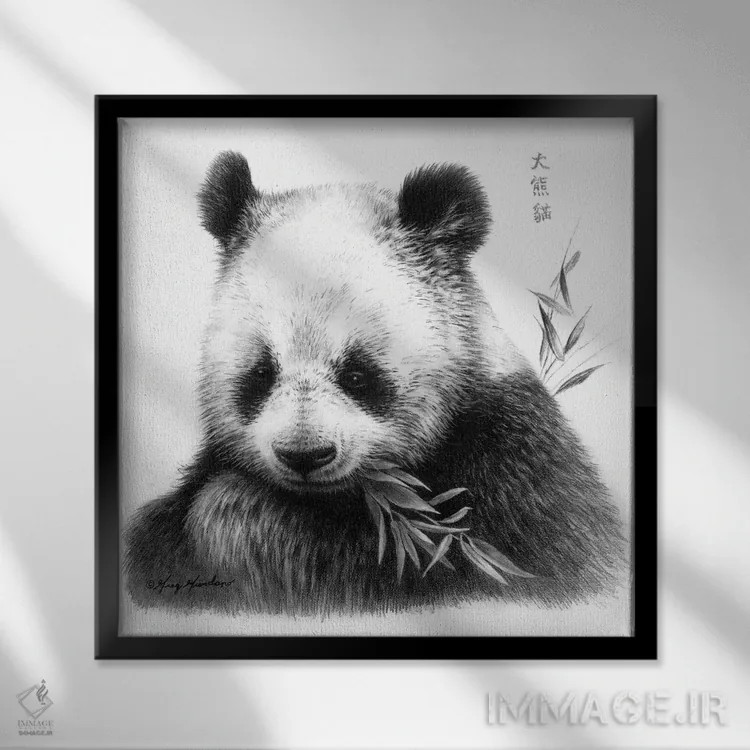 تابلو پاندا I اثر گرگ جوردانو - نمای قابدار مشکی