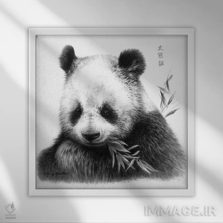 تابلو پاندا I اثر گرگ جوردانو - نمای قابدار سفید