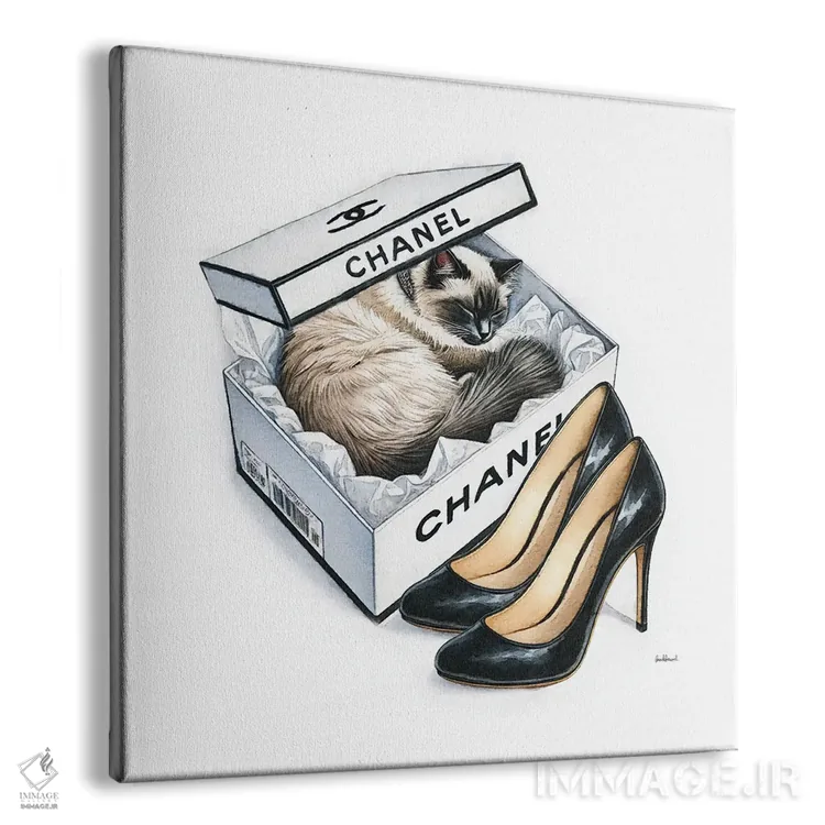 تابلو چرت گربه در رنگ سفید اثر آماندا گرینوود - نمای پرسپکتیو محصول