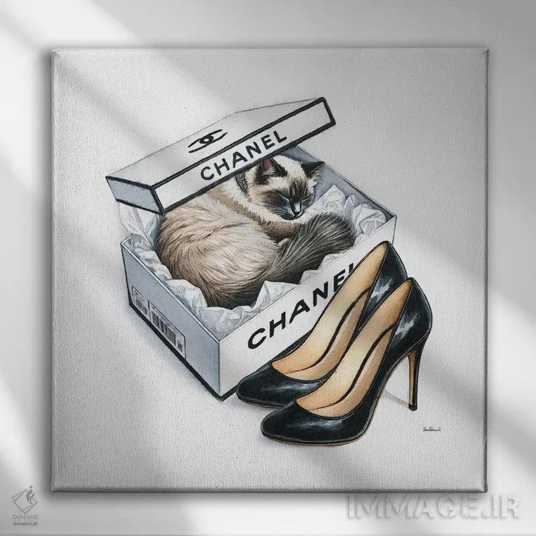 تابلو چرت گربه در رنگ سفید اثر آماندا گرینوود - نمای روبهرو روی دیوار