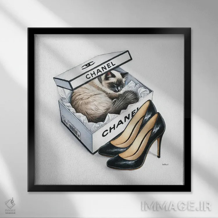 تابلو چرت گربه در رنگ سفید اثر آماندا گرینوود - نمای قابدار مشکی