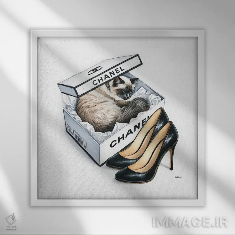 تابلو چرت گربه در رنگ سفید اثر آماندا گرینوود - نمای قابدار سفید