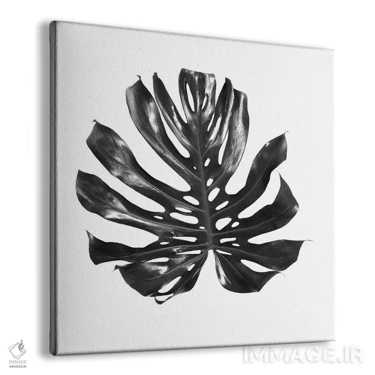 تابلو برگ مانسترا اثر گرگوری پرسکات - نمای پرسپکتیو محصول