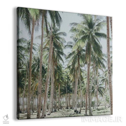 تابلو درختان نخل، فیلیپین اثر لوک آنتونی گرم - نمای پرسپکتیو محصول
