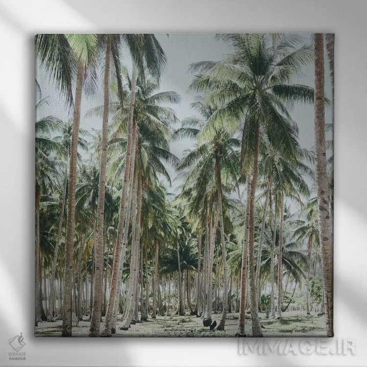 تابلو درختان نخل، فیلیپین اثر لوک آنتونی گرم - نمای روبهرو روی دیوار