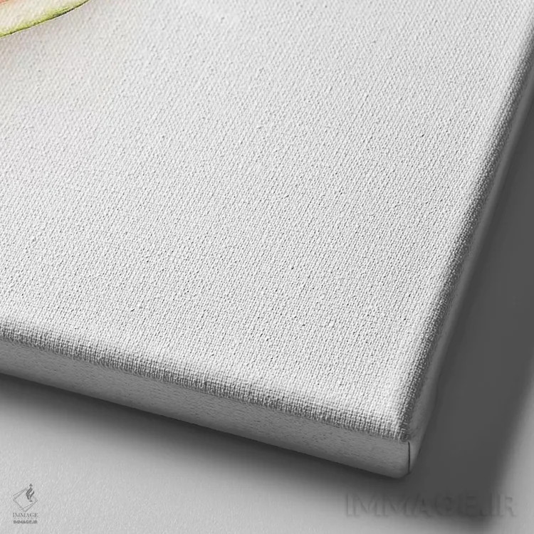 تابلو هندوانه اثر گرچن روهرز - نمای نزدیک بافت بوم