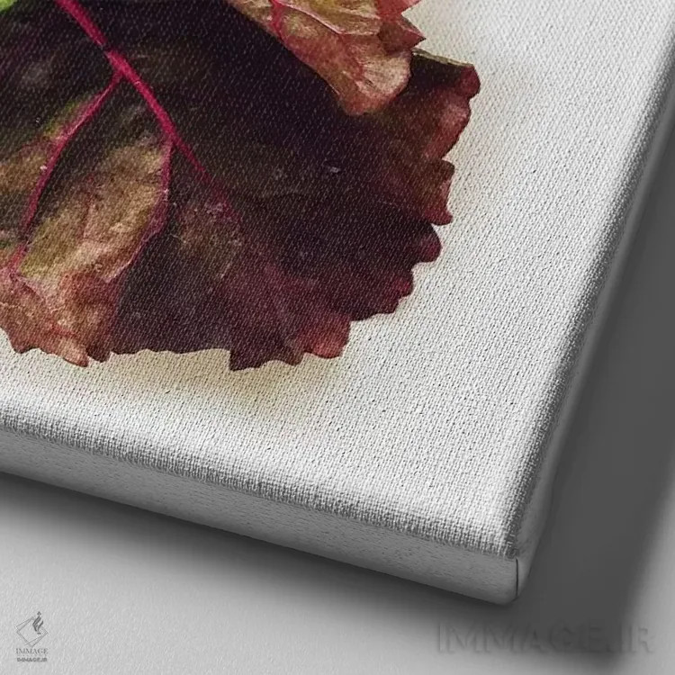 تابلو برگ چغندر سوئیسی (چارد) اثر گرچن روهرز - نمای نزدیک بافت بوم