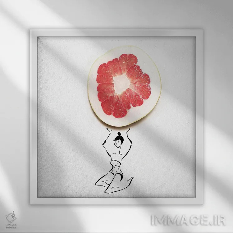 تابلو گریپفروت اثر گرچن روهرز - نمای قابدار سفید