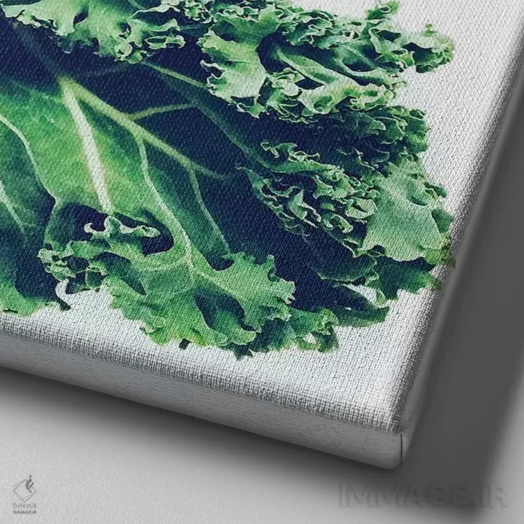 تابلو کلم کیل (سری اول) اثر گرچن روهرز - نمای نزدیک بافت بوم