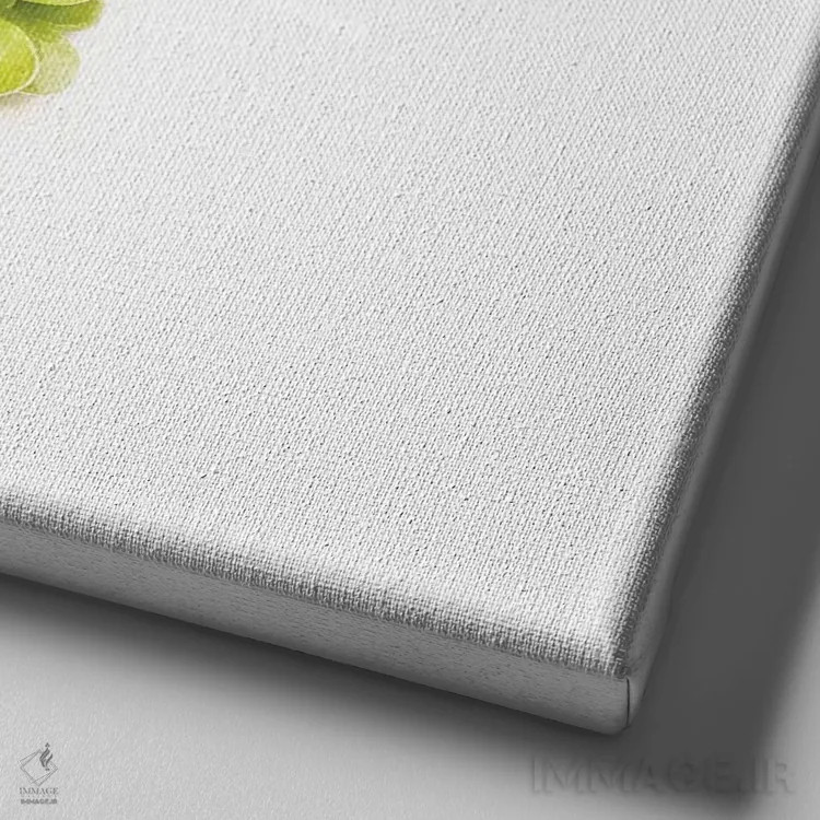 تابلو انگور سبز اثر گرچن روهرز - نمای نزدیک بافت بوم