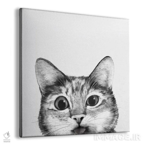 تابلو گربه احمق (بامزه) اثر لورا گریوز - نمای پرسپکتیو محصول
