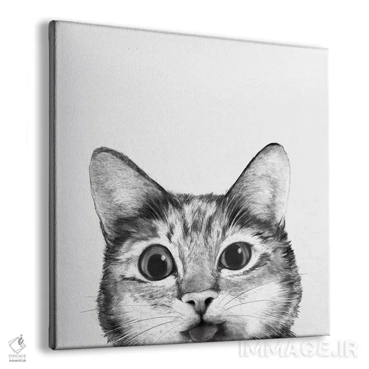 تابلو گربه احمق (بامزه) اثر لورا گریوز - نمای پرسپکتیو محصول