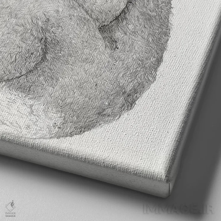 تابلو کوالاها عاشق بغل کردناند اثر لورا گریوز - نمای نزدیک بافت بوم