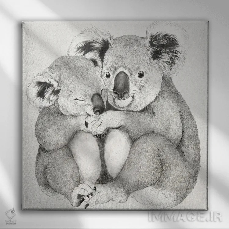 تابلو کوالاها اثر لورا گریوز - نمای روبهرو روی دیوار