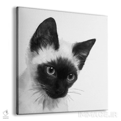 تابلو سیامی (نژاد گربه) اثر لورا گریوز - نمای پرسپکتیو محصول