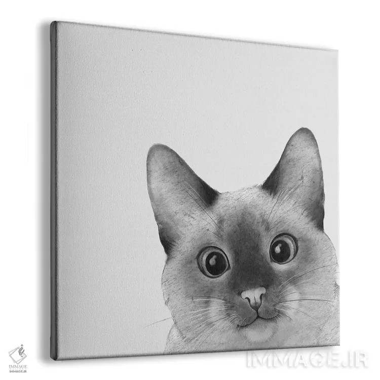 تابلو گربهٔ سیامی نگاه یواشکی اثر لورا گریوز - نمای پرسپکتیو محصول