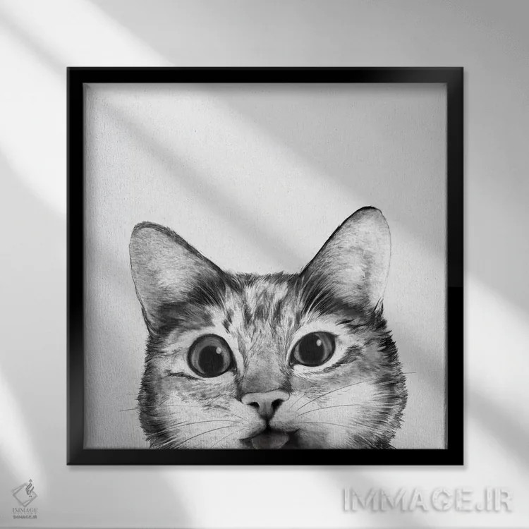 تابلو گربه احمق (بامزه) اثر لورا گریوز - نمای قابدار مشکی