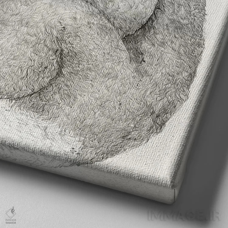 تابلو کوالاها اثر لورا گریوز - نمای نزدیک بافت بوم