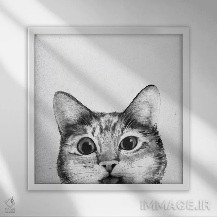 تابلو گربه احمق (بامزه) اثر لورا گریوز - نمای قابدار سفید
