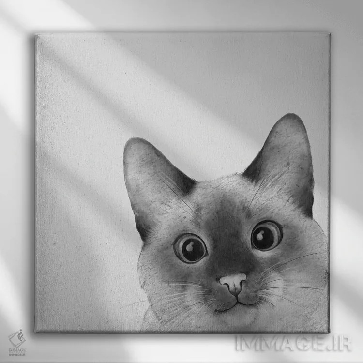 تابلو گربهٔ سیامی نگاه یواشکی اثر لورا گریوز - نمای روبهرو روی دیوار