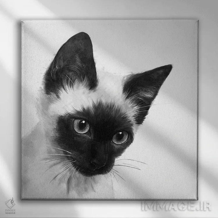 تابلو سیامی (نژاد گربه) اثر لورا گریوز - نمای روبهرو روی دیوار